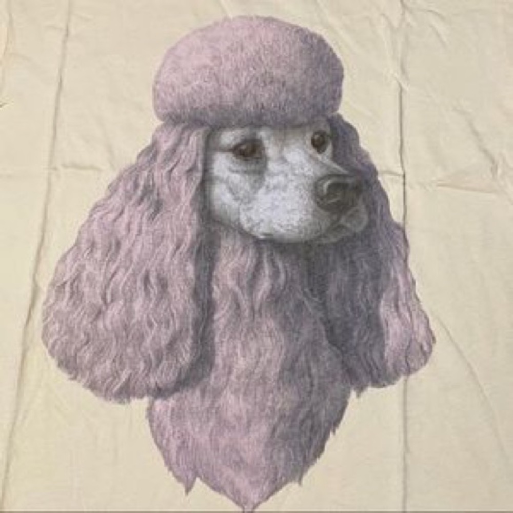 Wildfox “Poodle” T-shirt - Picture 7 of 7